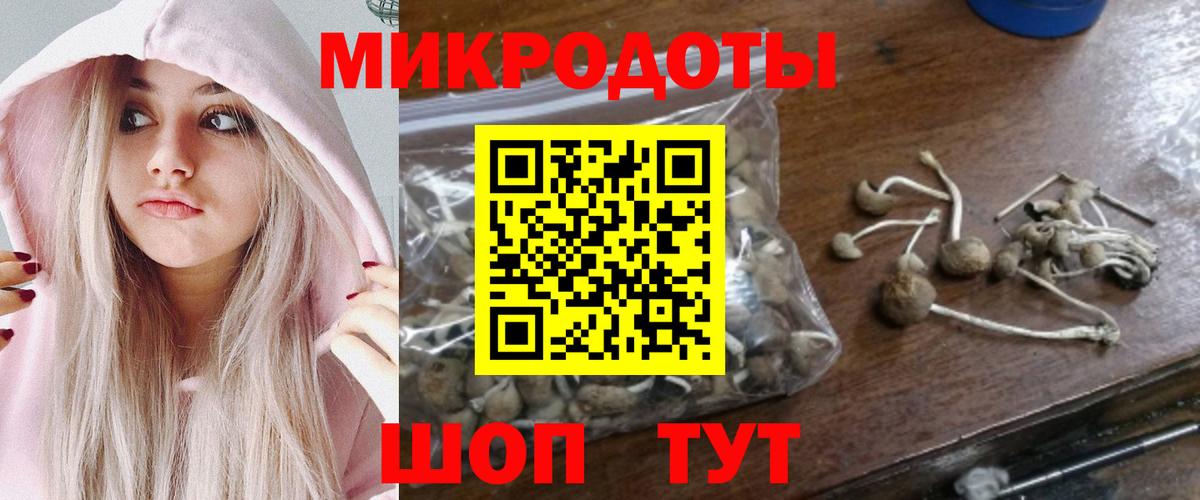 Псилоцибиновые грибы мухоморы  купить наркотики сайты  Дивногорск  Вход с VPN 